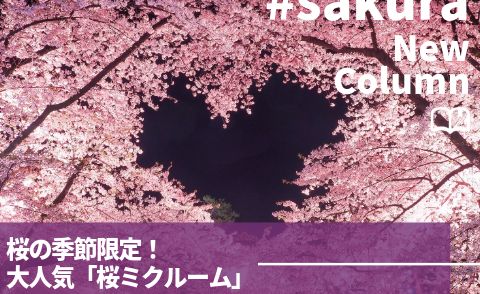 コラム＿大人気「桜ミクルーム」