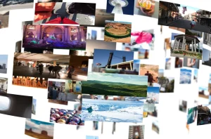 開発実績：画像出力ソフト