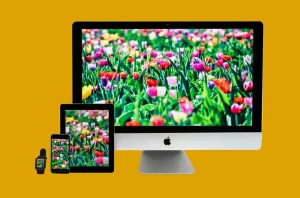 開発実績：iPhone (iOS) / iPad / AppleWatch アプリ開発