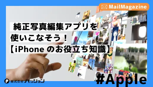 写真の写真