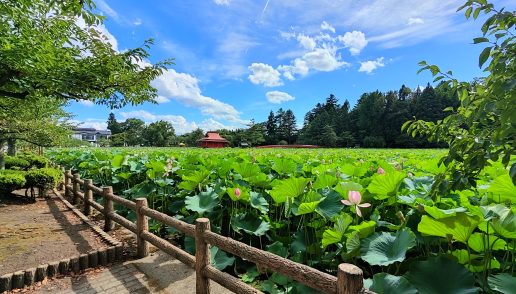 日常@パッション