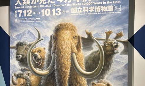 日常＠パッション