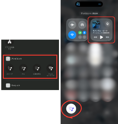 メルマガ@パッション