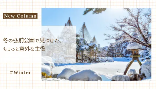 コラム_雪つり画像