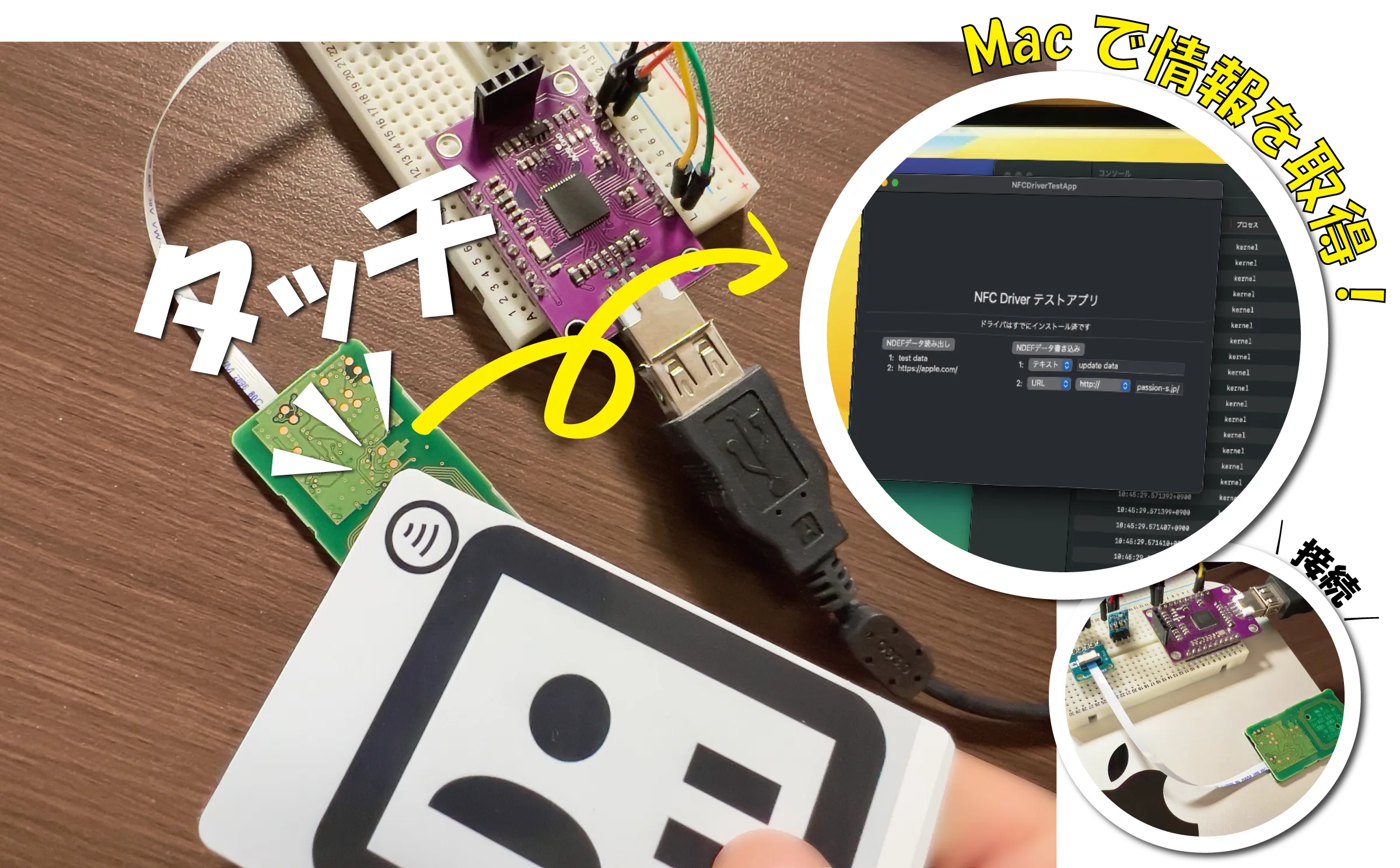 開発＠パッション